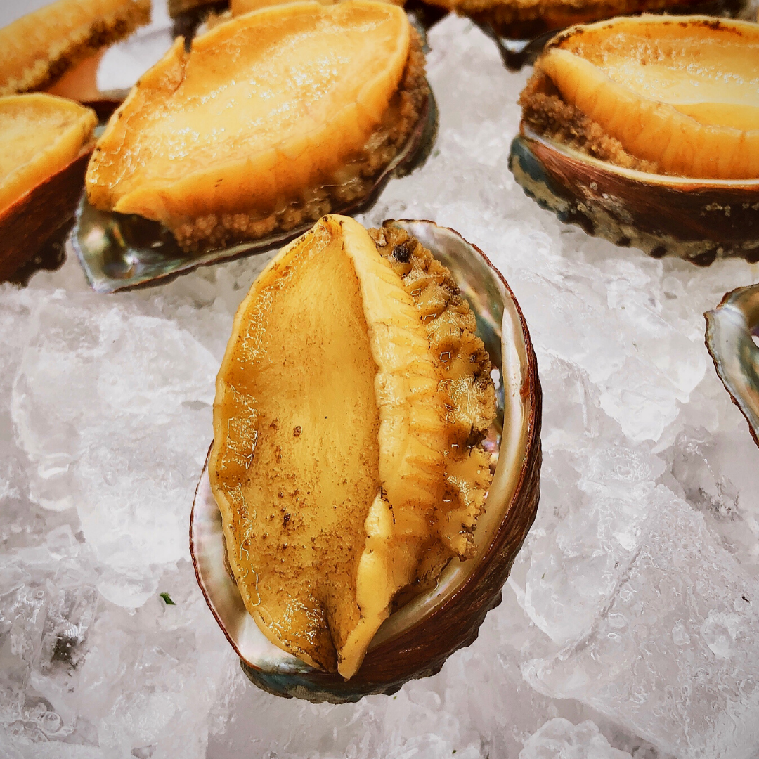 đWined Abalone