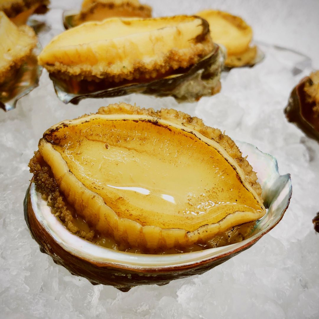 đWined Abalone